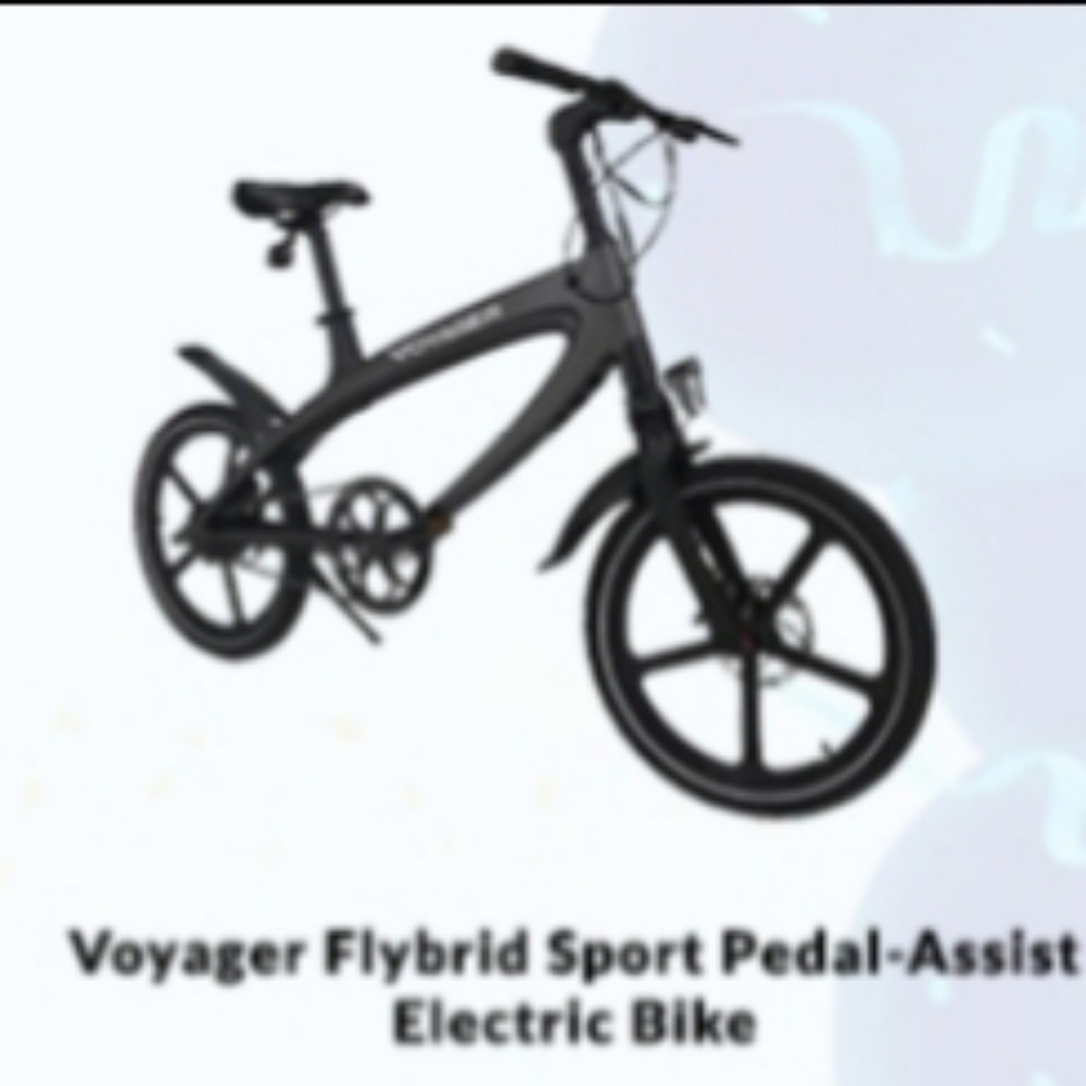 Voyager Peddle Assist Electric Bike